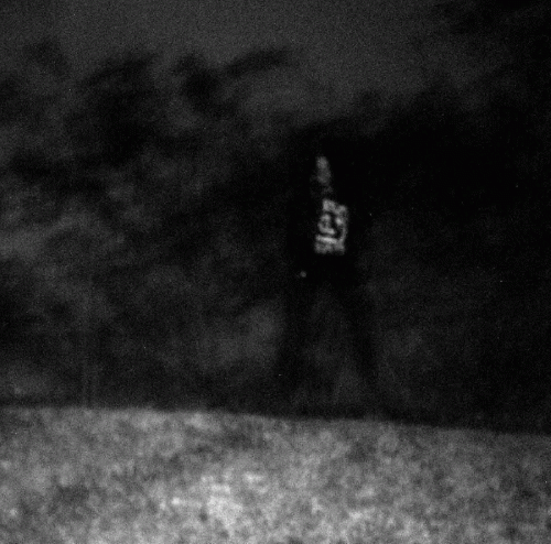 Krypthall : The Anger at (Underground) Wolves!